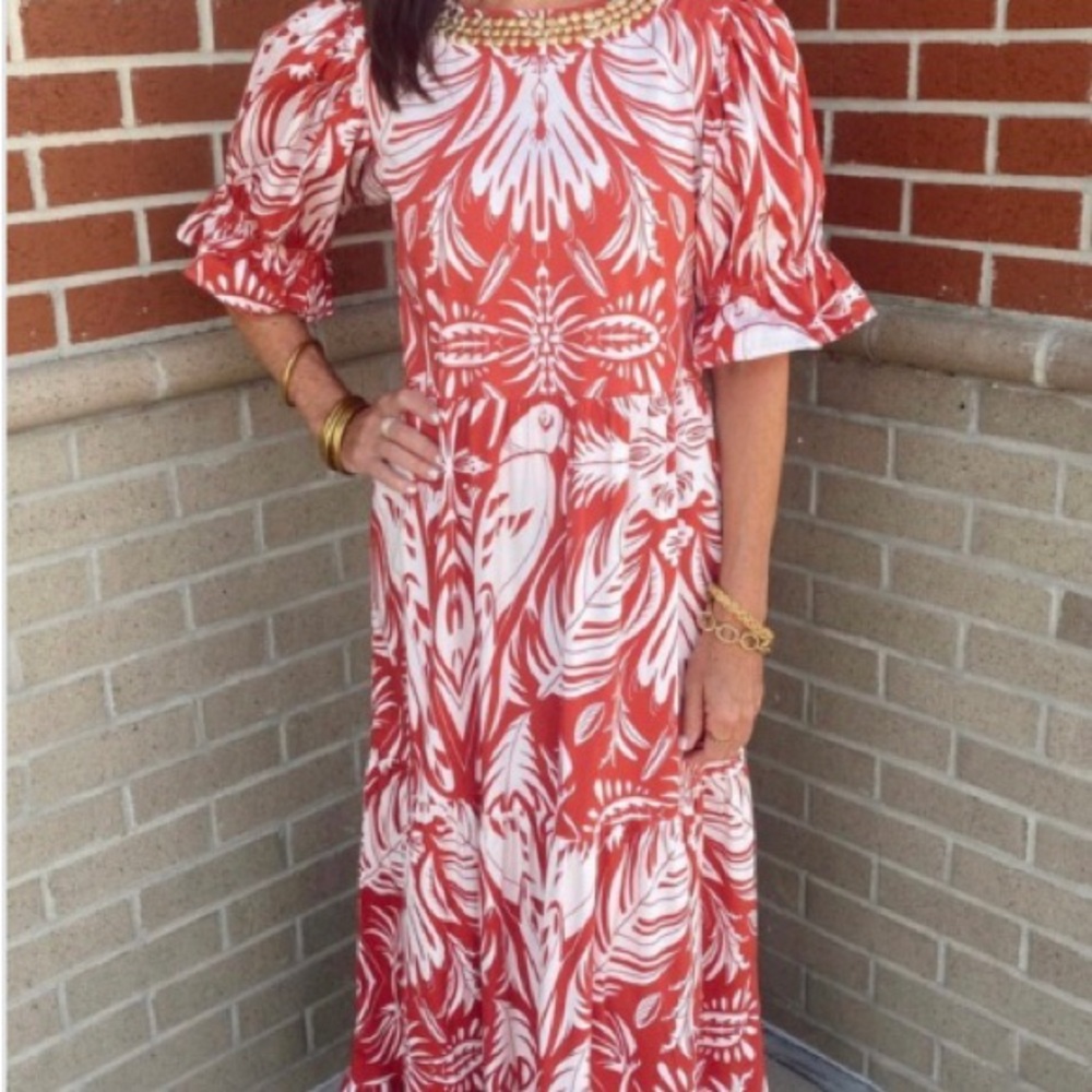NWT Sheridan French Michola Dress - Abstract Birds, Size Large